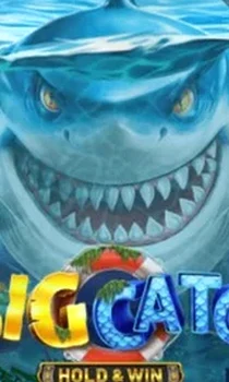 A Big Catch - Hold & Win